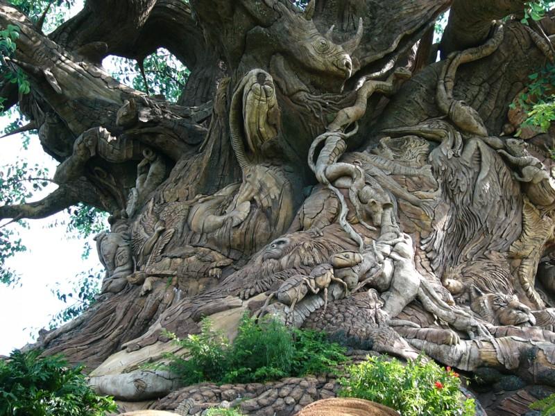 Tree of Life closeup (10).JPG